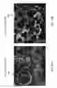Fig. 19 - Ceramic/metal composite structure