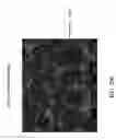 Fig. 20 - Ceramic/metal composite structure