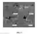 Fig. 09 - WEAR RESISTANT LEAD FREE ALLOY SLIDING ELEMENT METHOD OF MAKING
