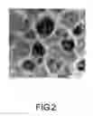 Fig. 03 - Sputtering targets and recording materials of the magnetic recording medium formed from the same
