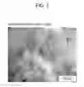 Fig. 03 - SHRINK RESISTANT MICROPOROUS MEMBRANE AND BATTERY SEPARATOR