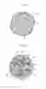 Fig. 05 - Rechargeable lithium battery with an electrode active material including a multi-phase alloy powder