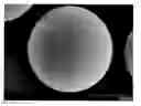 Fig. 01 - Magnetic carrier for electrophotographic developer and process for producing the same, and two-component system developer
