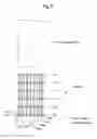 Fig. 09 - Developer, process for treating developing solution, process for producing printing plate, and filter apparatus