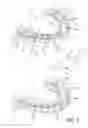 Fig. 02 - HYDRAULIC TOOTH CLEANER