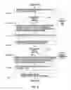 Fig. 06 - METHOD FOR PLAYING DYNAMIC ENGLISH GRAPHICS OPTIMIZED TO VISUAL PROCESSING PATTERNS OF BRAIN