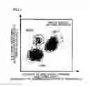 Fig. 02 - METHOD FOR DETECTING TARGET CELL
