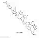 Fig. 03 - PNA DIAGNOSTIC USE