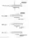 Fig. 06 - PNA DIAGNOSTIC USE