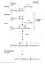 Fig. 11 - PNA DIAGNOSTIC USE