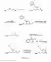 Fig. 19 - PNA DIAGNOSTIC USE