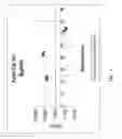 Fig. 02 - Endpoint TaqMan methods for determining zygosity of cotton comprising Cry1Ac event 3006-210-23