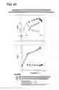 Fig. 62 - COMPOSITIONS AND METHODS FOR DEMONSTRATING SECRETORY IMMUNE SYSTEM REGULATION OF STEROID HORMONE RESPONSIVE CANCER CELL GROWTH