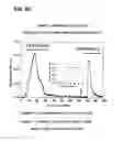 Fig. 81 - COMPOSITIONS AND METHODS FOR DEMONSTRATING SECRETORY IMMUNE SYSTEM REGULATION OF STEROID HORMONE RESPONSIVE CANCER CELL GROWTH