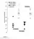 Fig. 02 - Method For Diagnosing Thrombophilia