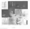 Fig. 02 - Method of detecting phosphorylation state of beta-catenin