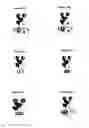 Fig. 08 - Method for detecting compounds modulating dimers of VFT domain membrane proteins