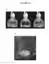 Fig. 129 - Systems for bioagent indentification