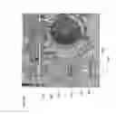 Fig. 76 - Systems for bioagent indentification