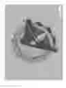 Fig. 89 - Systems for bioagent indentification