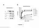 Fig. 04 - High affinity binding site of HGFR and methods for identification of antagonists thereof