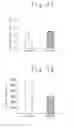 Fig. 11 - Culture methods of bone marrow stromal cells and mesenchymal stem cells, and manufacture method of graft cells for central nerve system diseases therapy