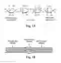 Fig. 02 - ENHANCED CELLULASE EXPRESSION IN S. DEGRADANS