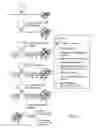 Fig. 02 - Isolation of RNA-protein complexes using cross-linking reagents and oligonucleotides