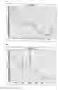 Fig. 02 - Assaying substrate with surface-enhanced raman scattering activity
