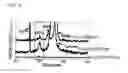 Fig. 10 - Semiconductor apparatus