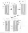 Fig. 01 - Depositing tungsten into high aspect ratio features