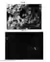 Fig. 04 - FLAME RETARDATION OF TEXTILES