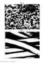 Fig. 06 - FLAME RETARDATION OF TEXTILES