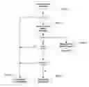 Fig. 01 - Method for Suspending Transmission and Reception of Text Messages and Phone Calls while Drivin