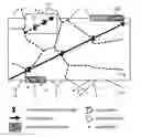 Fig. 01 - System and method for population tracking, counting, and movement estimation using mobile operational data and/or geographic information in mobile network