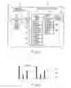 Fig. 03 - Mobile wireless terminal apparatus and base station search method