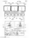 Fig. 35 - Gaming machine running common game