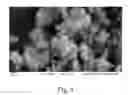 Fig. 05 - Method for preparing yttrium barium copper oxide (YBCO) superconducting nanoparticles