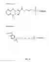 Fig. 09 - Method for generating aptamers with improved off-rates