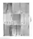 Fig. 02 - Use of liposomal Wnt composition to enhance osseointegration