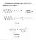 Fig. 06 - Spacer moiety for poly(ethylene glycol) modified peptide based compounds