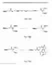 Fig. 20 - Spacer moiety for poly(ethylene glycol) modified peptide based compounds