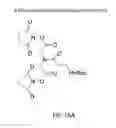 Fig. 22 - Spacer moiety for poly(ethylene glycol) modified peptide based compounds