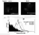 Fig. 06 - Peptide compositions that bind TLR-4