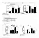 Fig. 08 - Peptide compositions that bind TLR-4