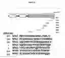 Fig. 09 - Peptide compositions that bind TLR-4