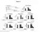 Fig. 16 - Peptide compositions that bind TLR-4