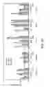 Fig. 10 - COMPOSITIONS AND METHODS FOR CHARACTERIZING AND TREATING NEOPLASIA
