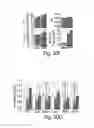 Fig. 40 - TGR5 modulators and methods of use thereof