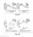 Fig. 46 - TGR5 modulators and methods of use thereof